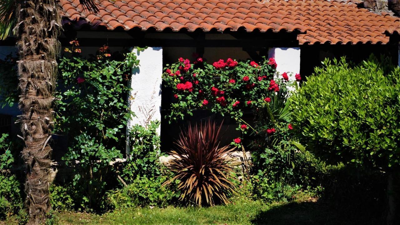 מוטובון Apartments Garden מראה חיצוני תמונה